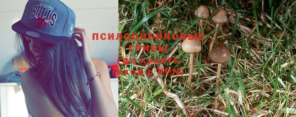 метадон Вяземский