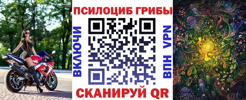 МЕГА как зайти  Пионерский  Галлюциногенные грибы Cubensis 